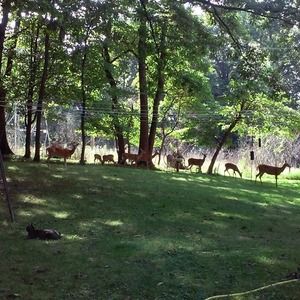 Meet your Posher, Beverly